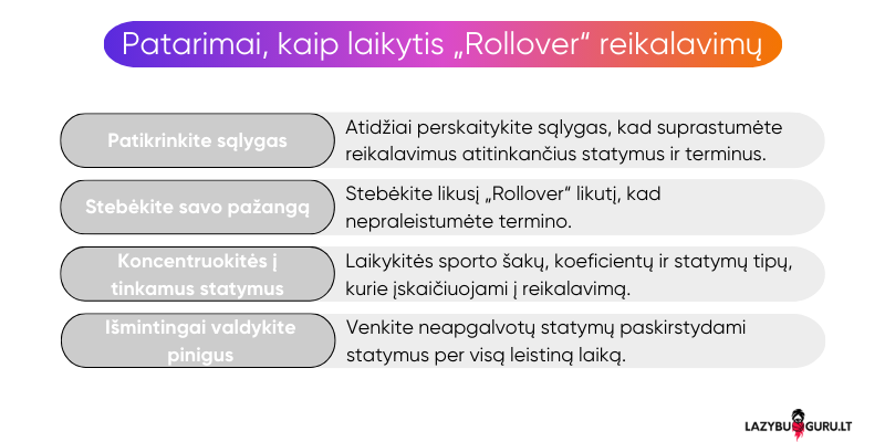 rollover-statymu-reikalavimai